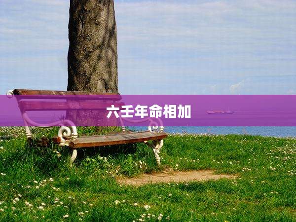 六壬年命相加
