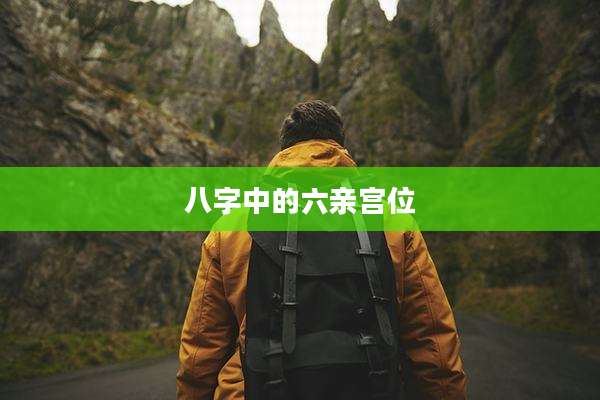 八字中的六亲宫位