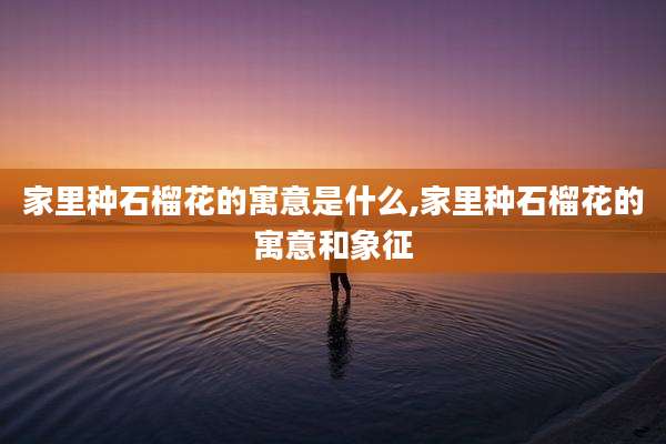 家里种石榴花的寓意是什么,家里种石榴花的寓意和象征