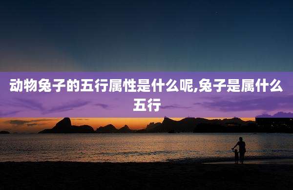 动物兔子的五行属性是什么呢,兔子是属什么五行