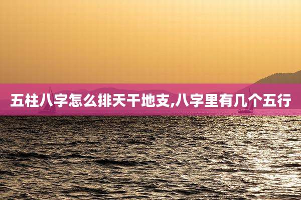 五柱八字怎么排天干地支,八字里有几个五行