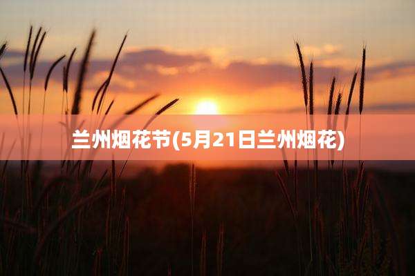 兰州烟花节(5月21日兰州烟花)