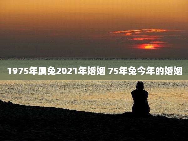 1975年属兔2021年婚姻 75年兔今年的婚姻