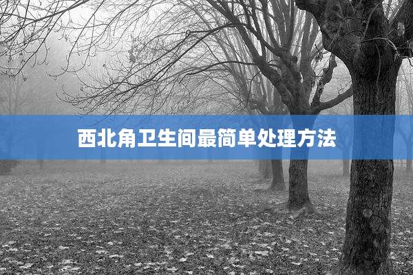 西北角卫生间最简单处理方法