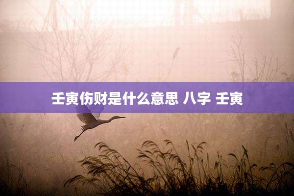 壬寅伤财是什么意思 八字 壬寅