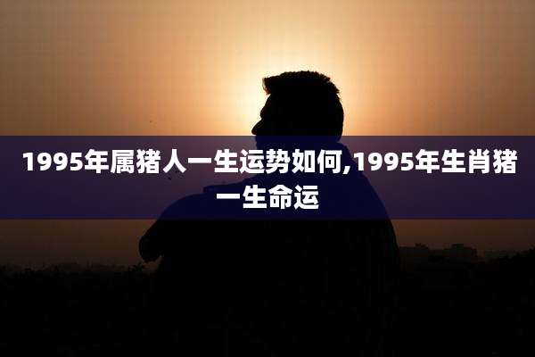 1995年属猪人一生运势如何,1995年生肖猪一生命运