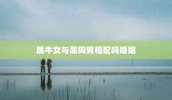 属牛女与属狗男相配吗婚姻
