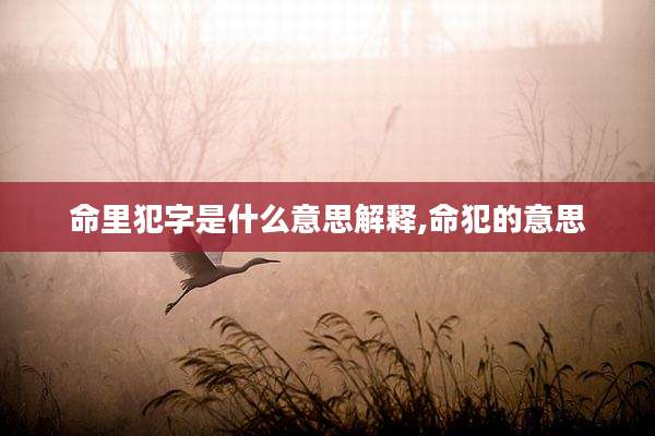 命里犯字是什么意思解释,命犯的意思