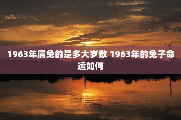 1963年属兔的是多大岁数 1963年的兔子命运如何