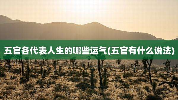 五官各代表人生的哪些运气(五官有什么说法)