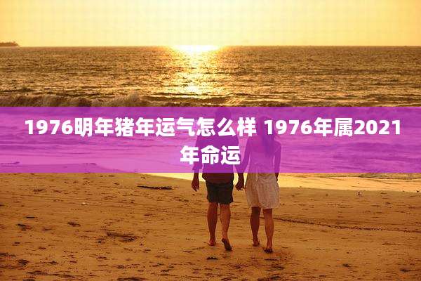 1976明年猪年运气怎么样 1976年属2021年命运