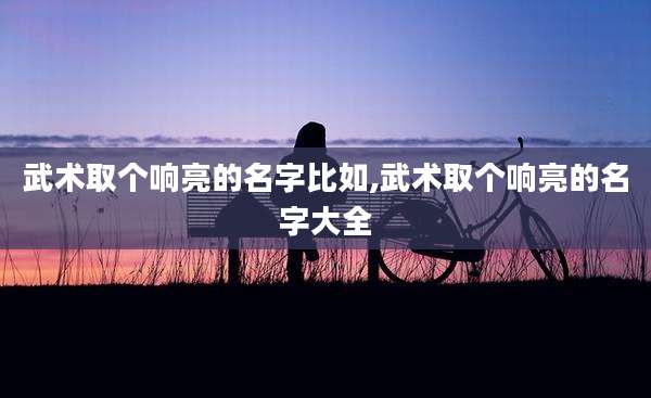 武术取个响亮的名字比如,武术取个响亮的名字大全
