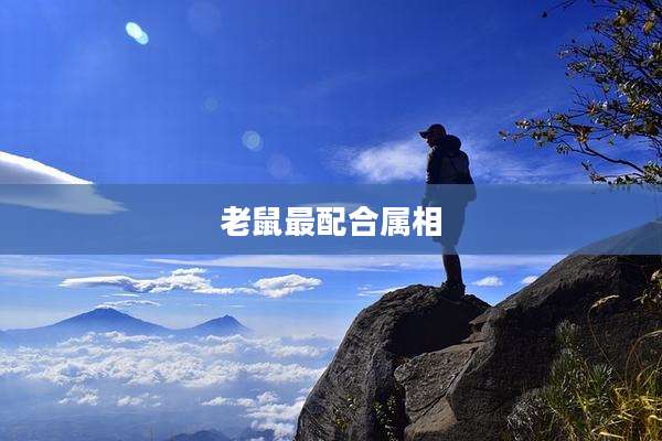 老鼠最配合属相