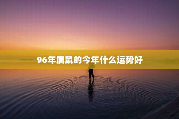 96年属鼠的今年什么运势好