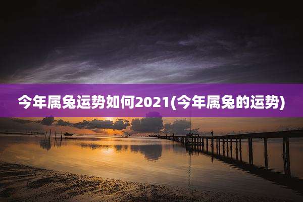 今年属兔运势如何2021(今年属兔的运势)