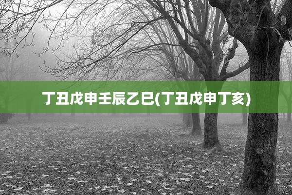 丁丑戊申壬辰乙巳(丁丑戊申丁亥)