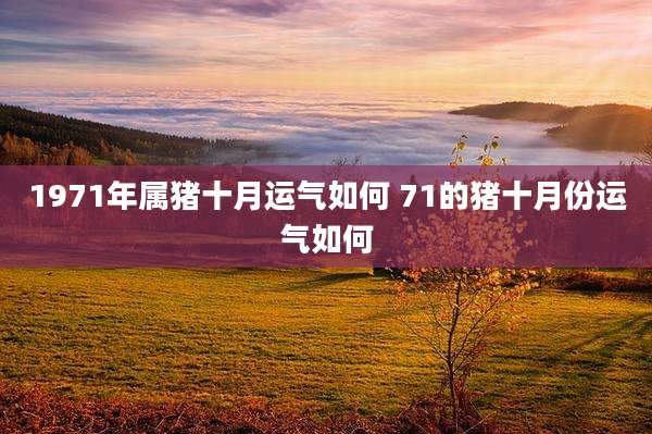 1971年属猪十月运气如何 71的猪十月份运气如何