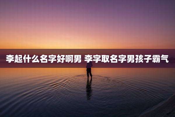 李起什么名字好啊男 李字取名字男孩子霸气