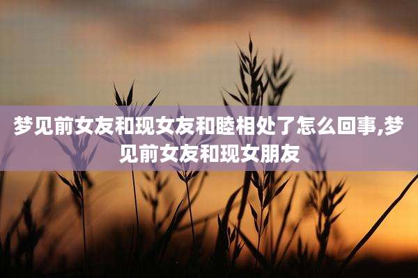 梦见前女友和现女友和睦相处了怎么回事,梦见前女友和现女朋友