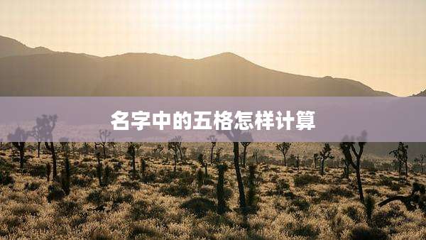 名字中的五格怎样计算
