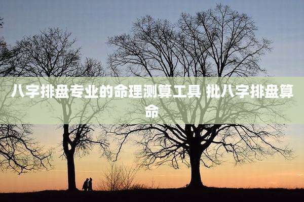 八字排盘专业的命理测算工具 批八字排盘算命