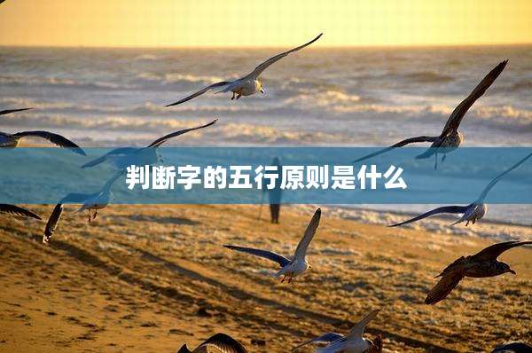 判断字的五行原则是什么