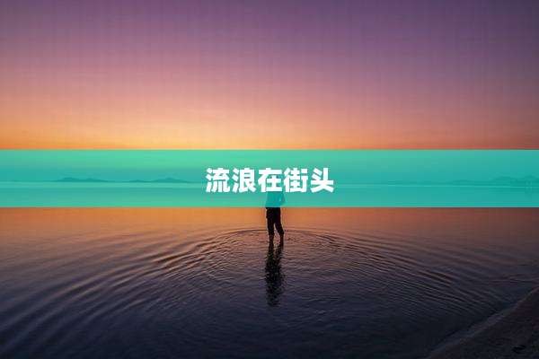 流浪在街头
