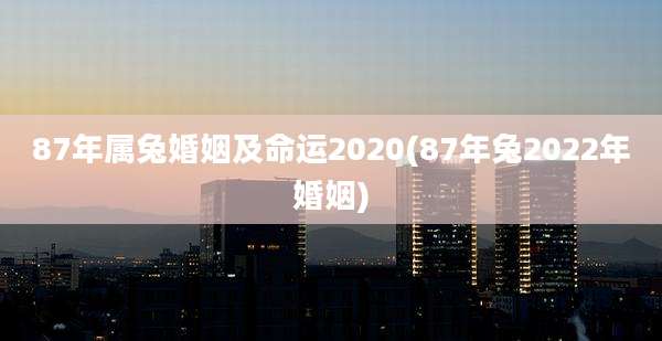 87年属兔婚姻及命运2020(87年兔2022年婚姻)