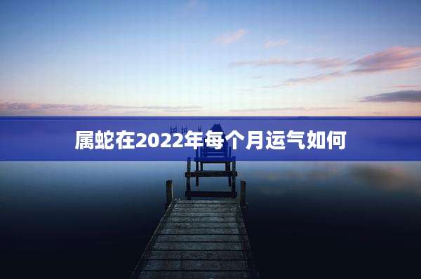 属蛇在2022年每个月运气如何