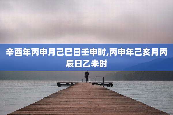 辛酉年丙申月己巳日壬申时,丙申年己亥月丙辰日乙未时