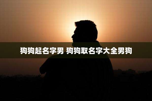 狗狗起名字男 狗狗取名字大全男狗