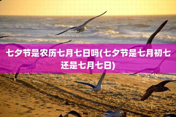 七夕节是农历七月七日吗(七夕节是七月初七还是七月七日)