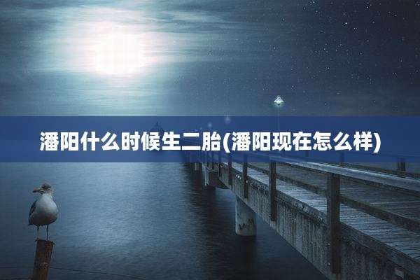 潘阳什么时候生二胎(潘阳现在怎么样)