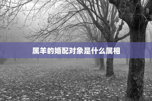 属羊的婚配对象是什么属相