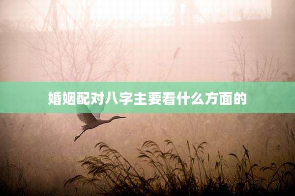 婚姻配对八字主要看什么方面的