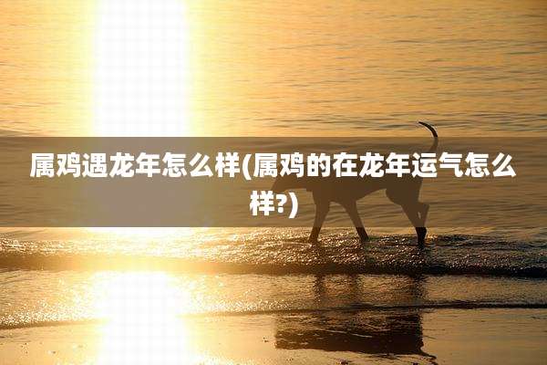 属鸡遇龙年怎么样(属鸡的在龙年运气怎么样?)