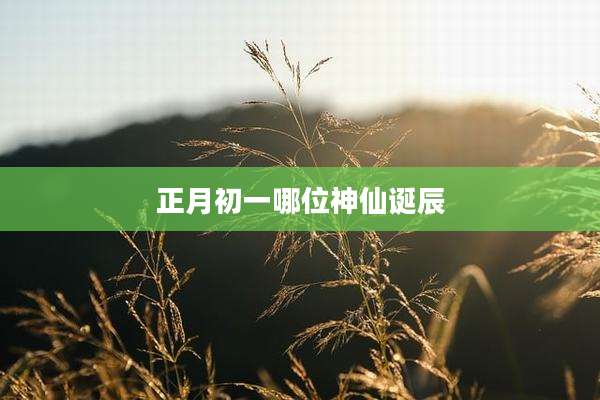 正月初一哪位神仙诞辰