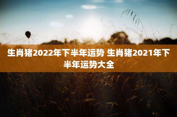 生肖猪2022年下半年运势 生肖猪2021年下半年运势大全