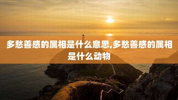 多愁善感的属相是什么意思,多愁善感的属相是什么动物