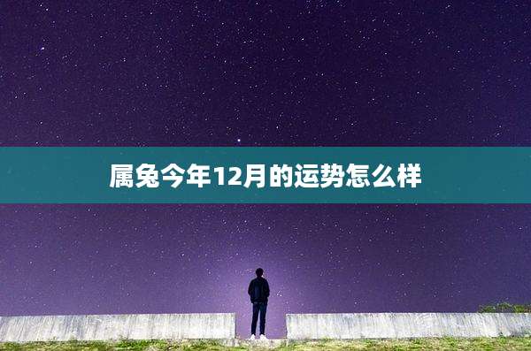 属兔今年12月的运势怎么样