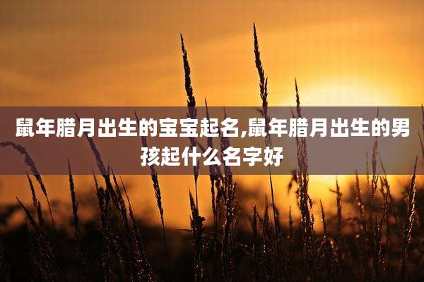 鼠年腊月出生的宝宝起名,鼠年腊月出生的男孩起什么名字好
