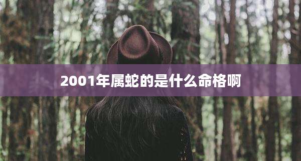 2001年属蛇的是什么命格啊