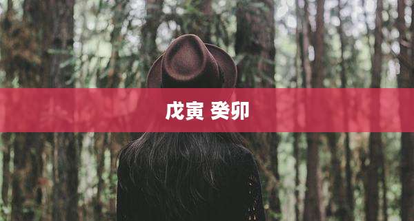 戊寅 癸卯