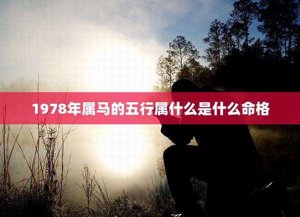 1978年属马的五行属什么是什么命格