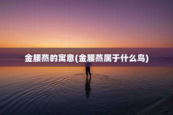 金腰燕的寓意(金腰燕属于什么鸟)