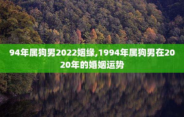 94年属狗男2022姻缘,1994年属狗男在2020年的婚姻运势