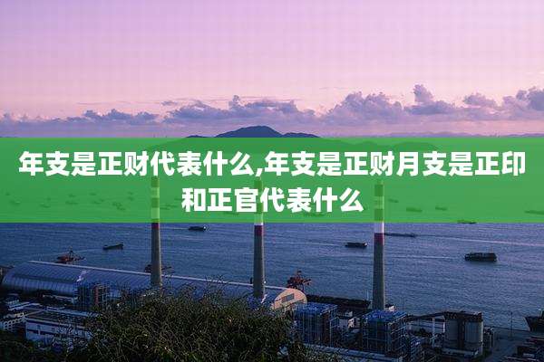 年支是正财代表什么,年支是正财月支是正印和正官代表什么