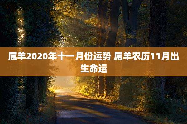 属羊2020年十一月份运势 属羊农历11月出生命运