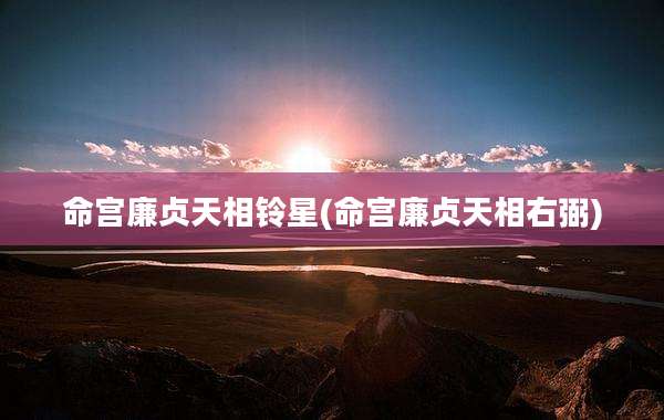 命宫廉贞天相铃星(命宫廉贞天相右弼)