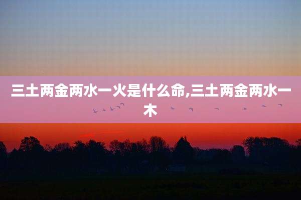 三土两金两水一火是什么命,三土两金两水一木
